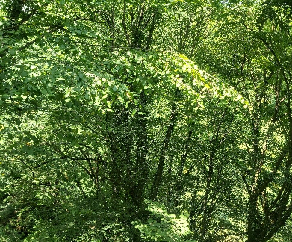 Oylat Selalesi-Inegol必去景点