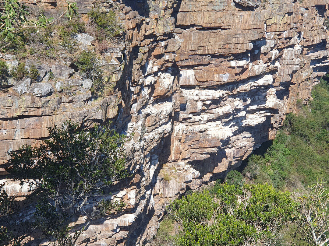 Oribi Vulture Viewing Hide-Port Shepstone必去景点
