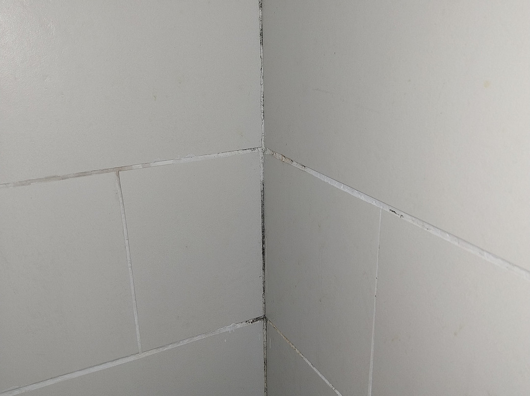 B&B Le Camerette di Edda主图