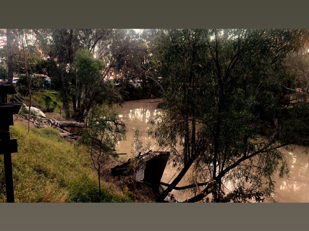 Laurels of Chinchilla主图