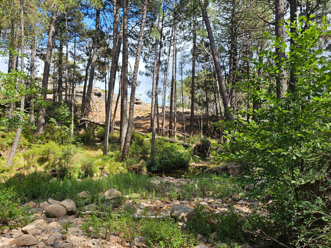 Cascade de Piscia-维琪奥港必去景点