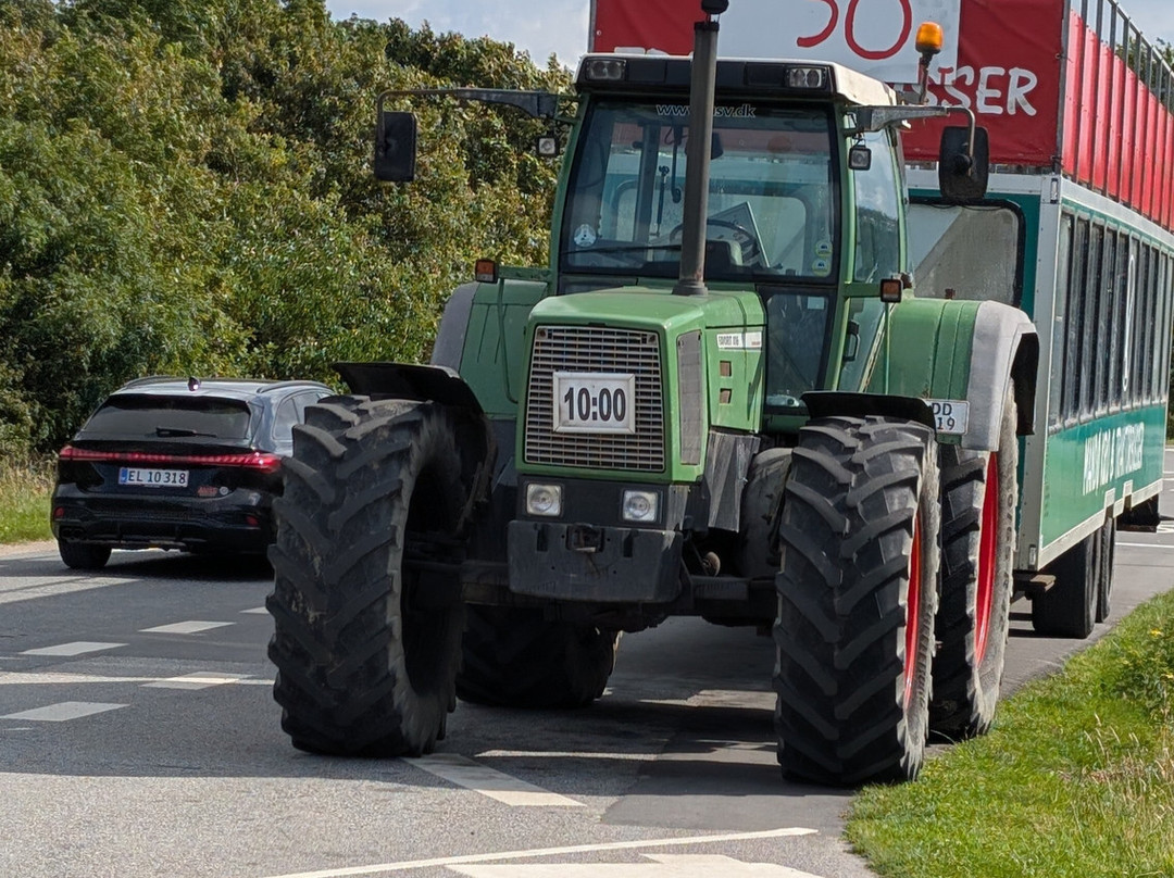 Mandø Traktorbusser-里伯必去景点