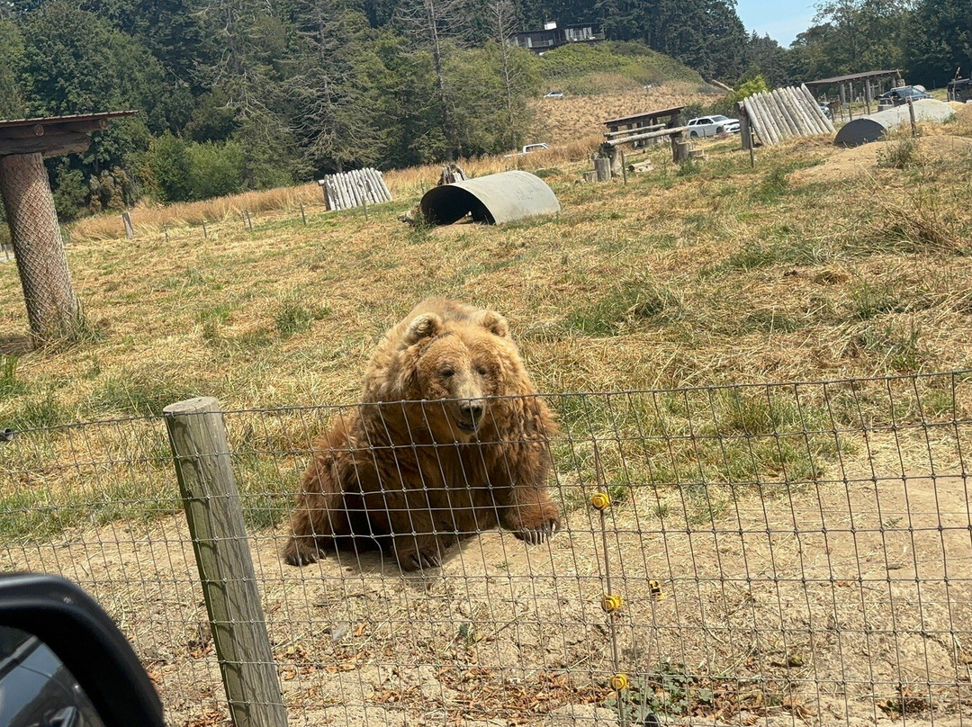奥林匹克比赛场-塞奎姆必去景点