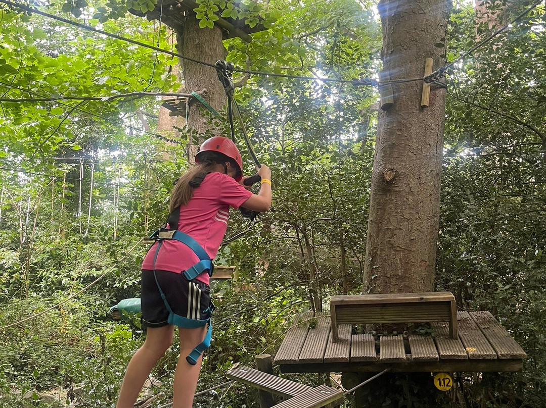Squirrel Scramble-布瑞必去景点