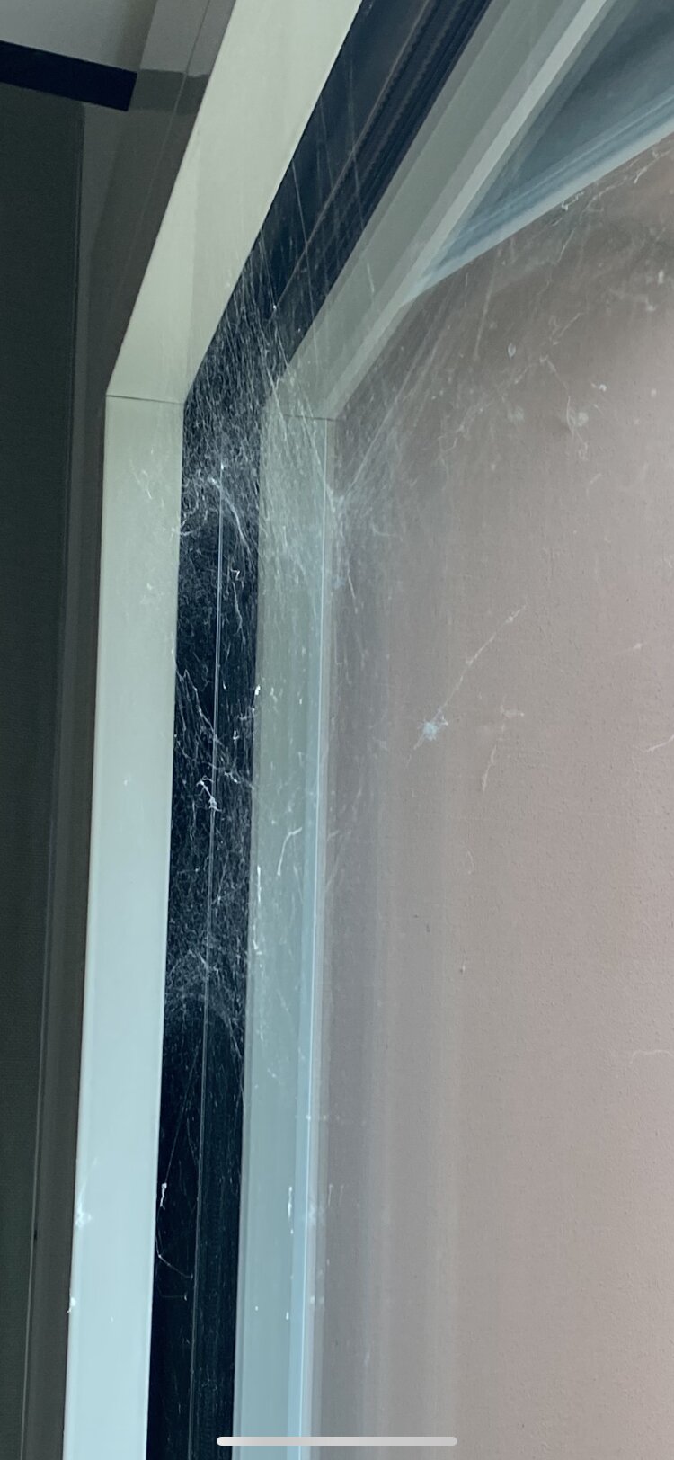 Kaisergarten Hotel Deidesheim-客卧