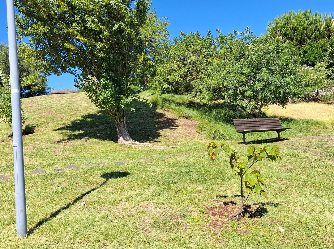 Parque Das Perdizes-Paco de Arcos必去景点