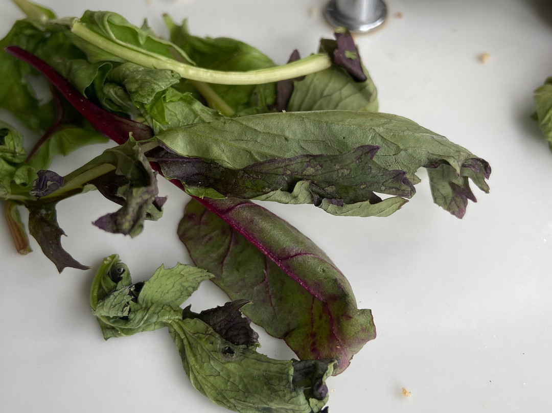 多宁顿庄园酒店主图