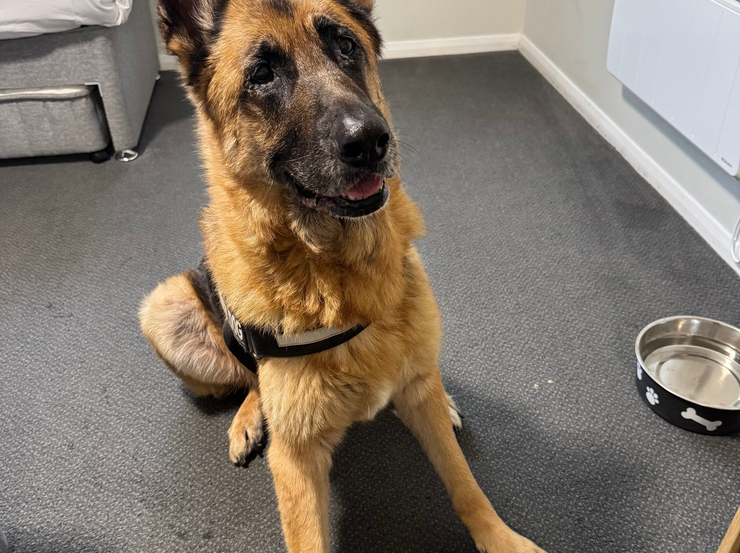 Days Inn Gretna Green A74主图