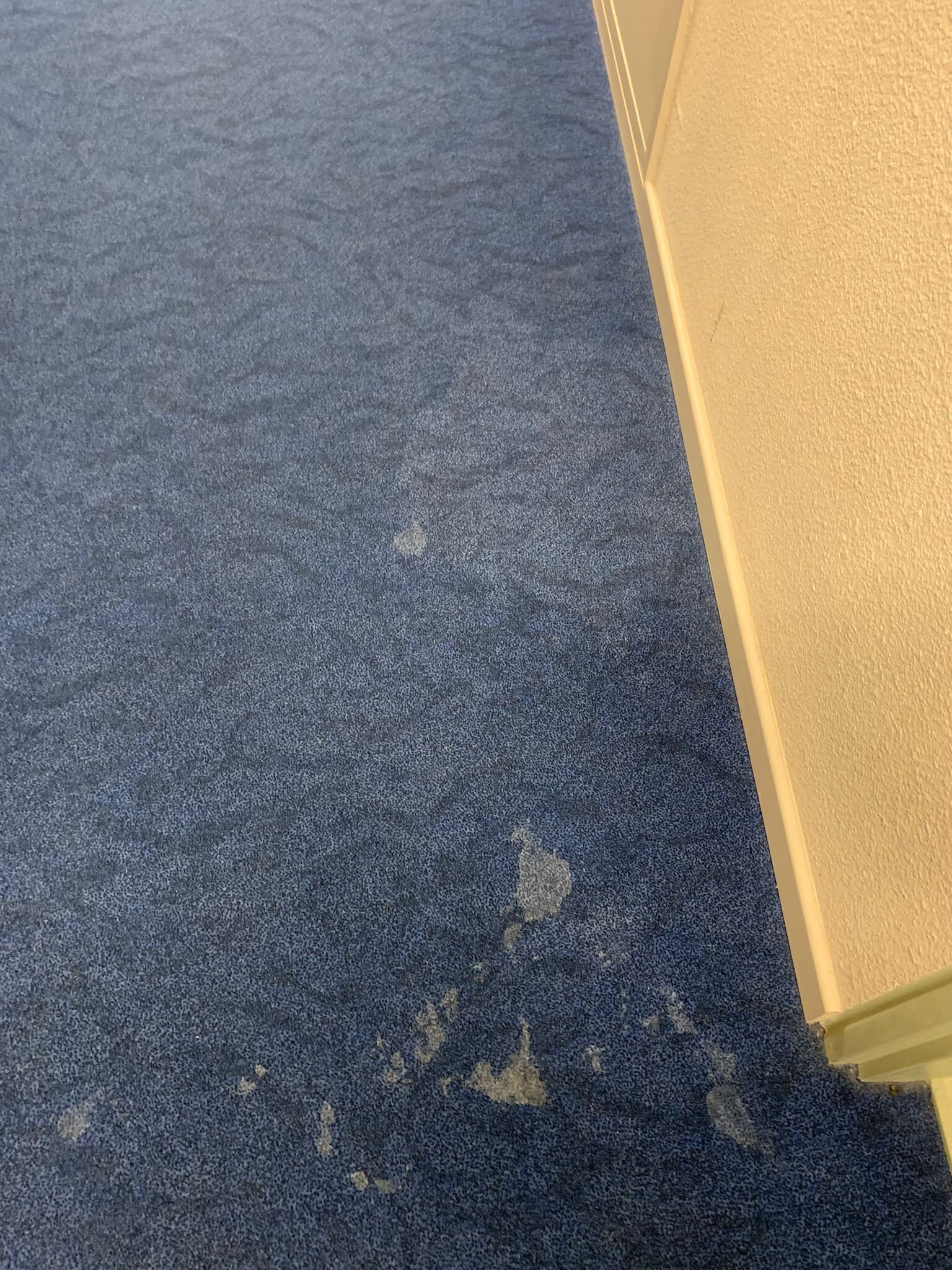 孔卡尔诺宜必思快捷酒店-官方