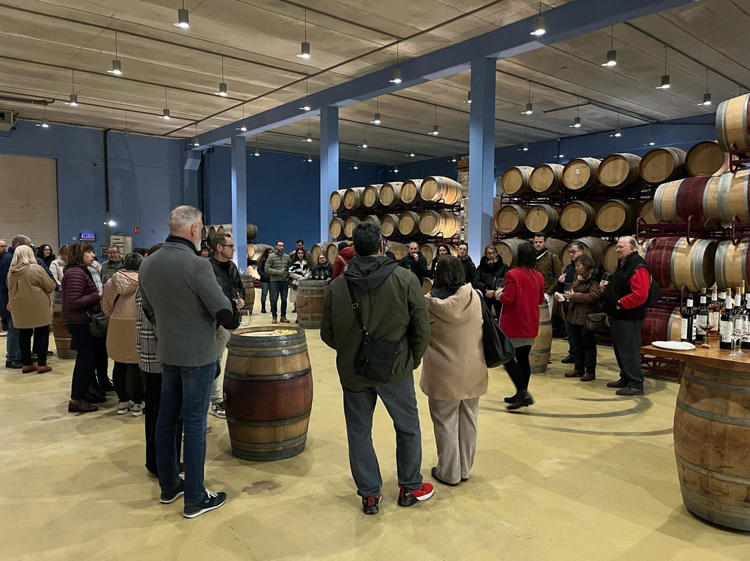 Bodegas Ignacio Marin-Carinena必去景点