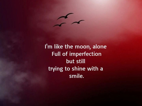 Franco Rosso Ali Safari-瓦塔木必去景点