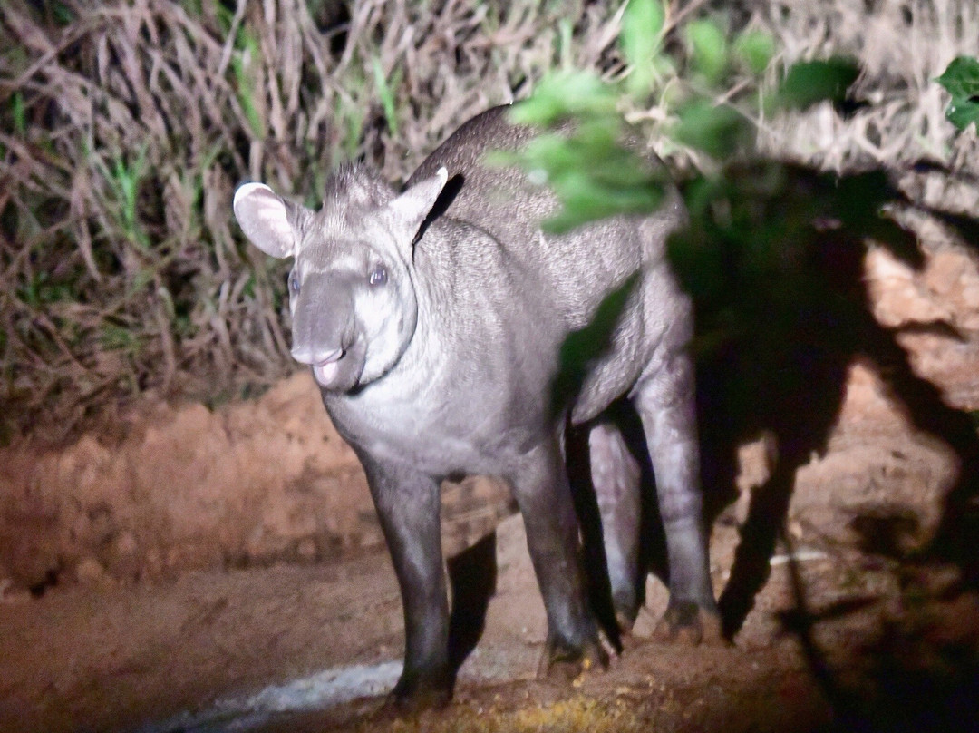 Hotel Baiazinha主图