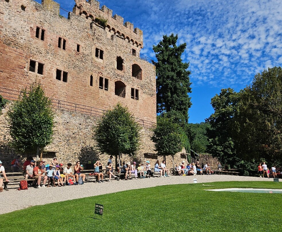 La Volerie des Aigles-Kintzheim必去景点