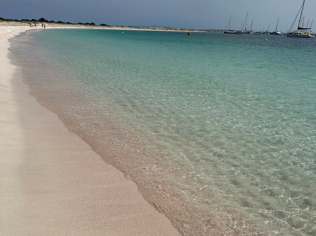 Sa Barca de Formentera-拉萨维纳必去景点
