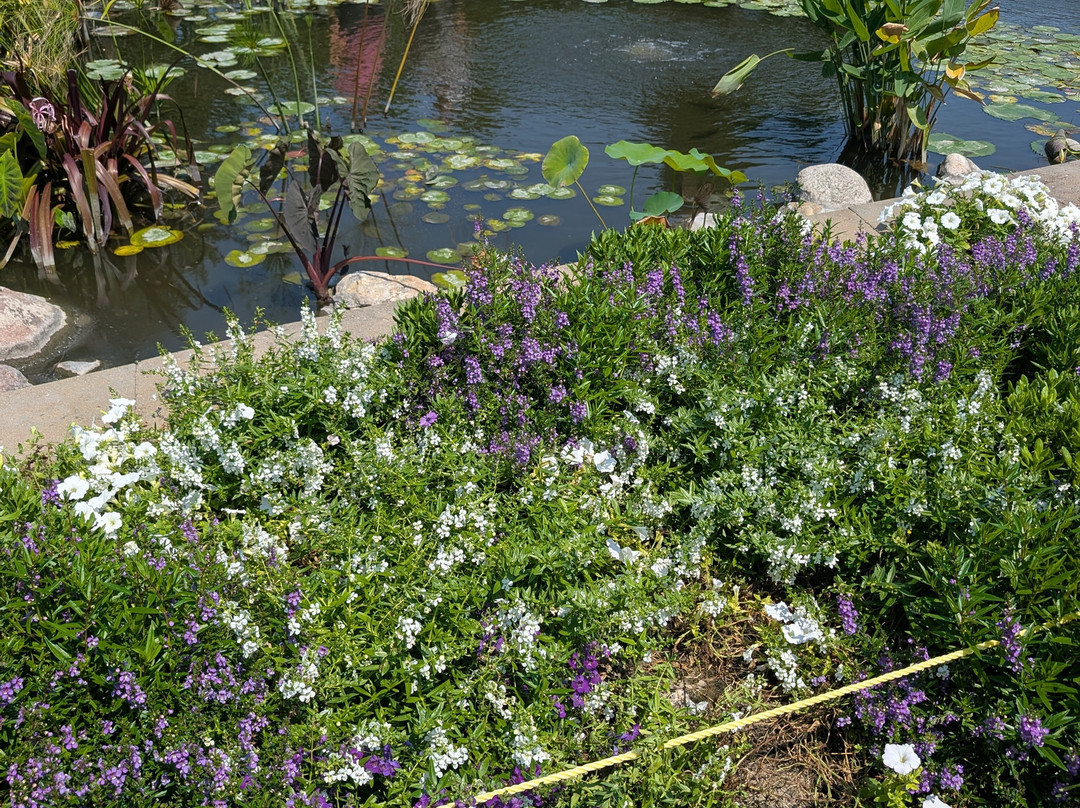 Sunken Gardens-林肯必去景点