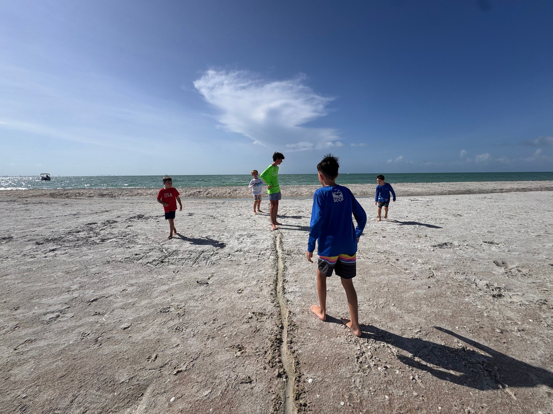 Sanibel Sea School-萨尼贝尔岛必去景点