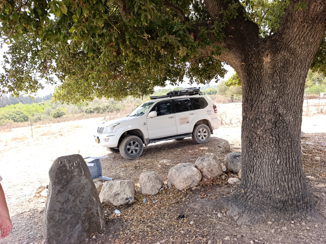 Jeepon-Naim By Nevo-Qiryat Bialik必去景点