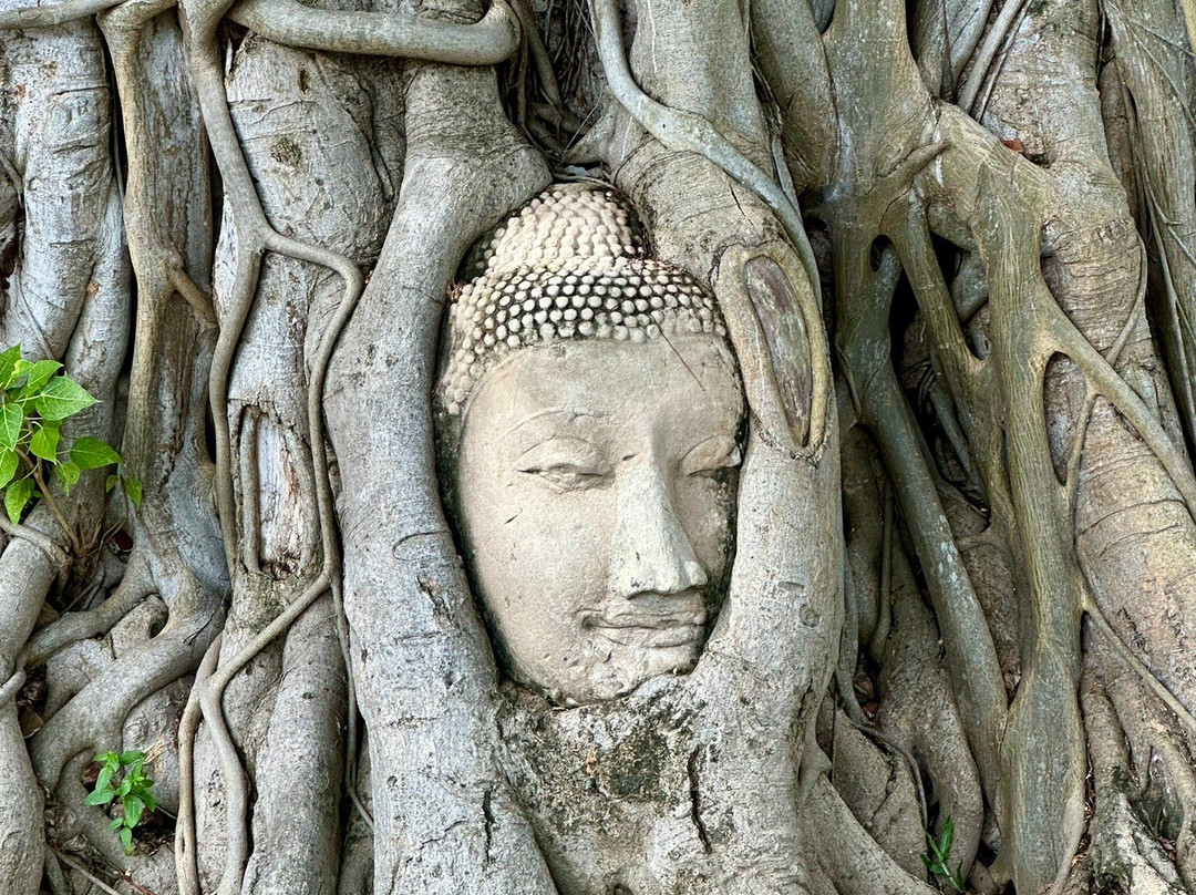 Peter Bangkok Taxi-曼谷必去景点