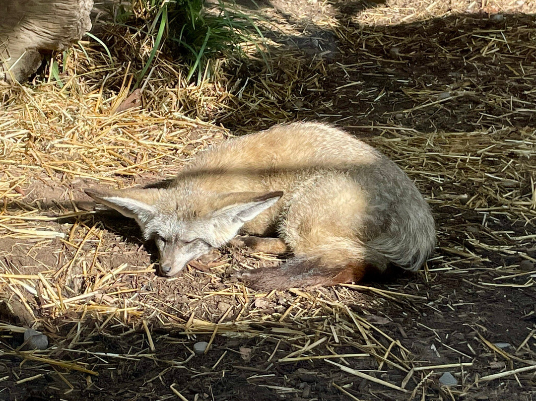 Fort Wayne Zoo-韦恩堡必去景点