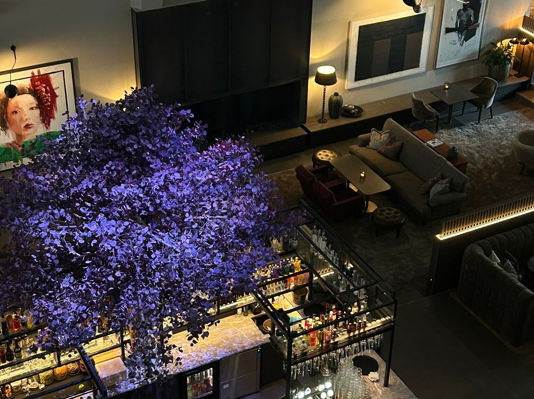 Sankt Jorgen Park主图