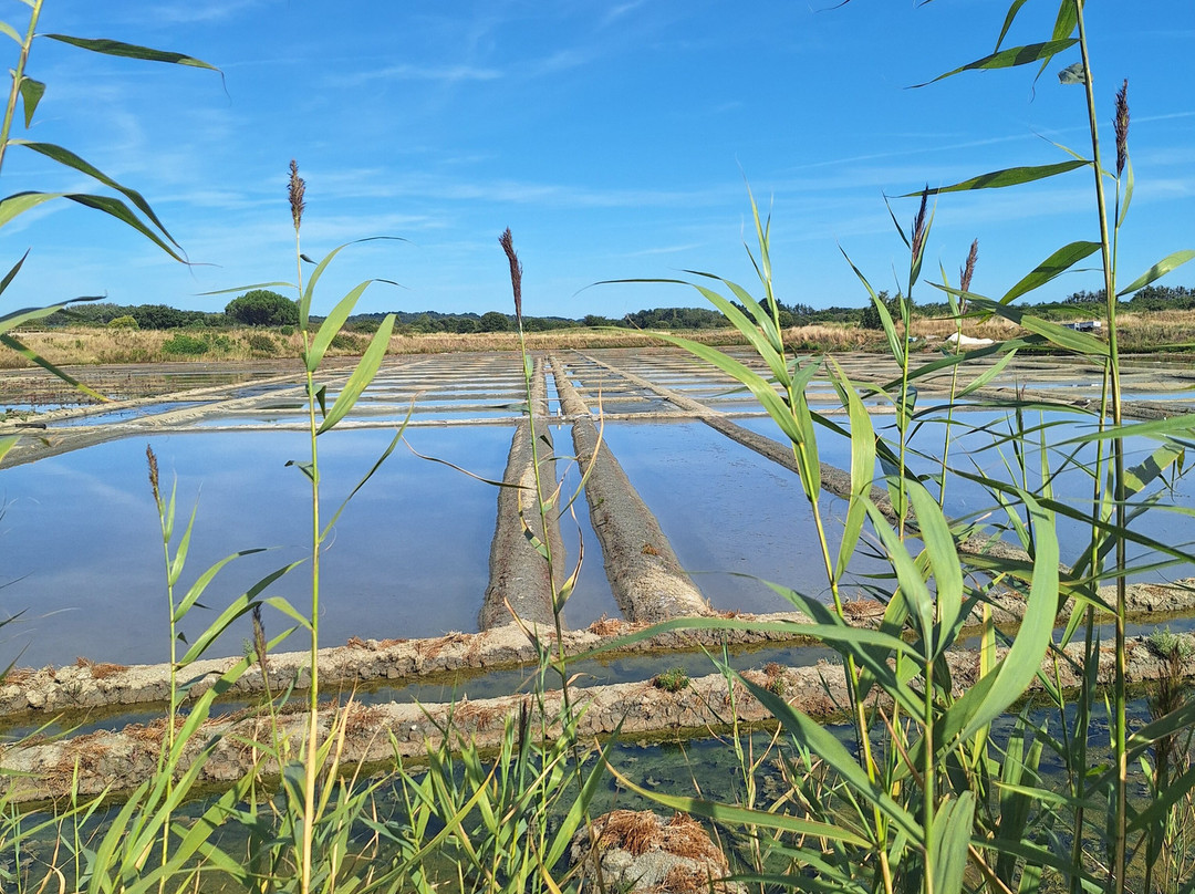 Terre de Sel-Guerande必去景点