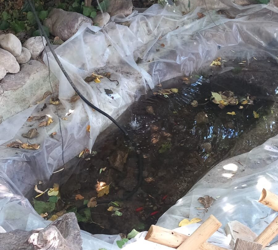 Florida Blue Bay主图