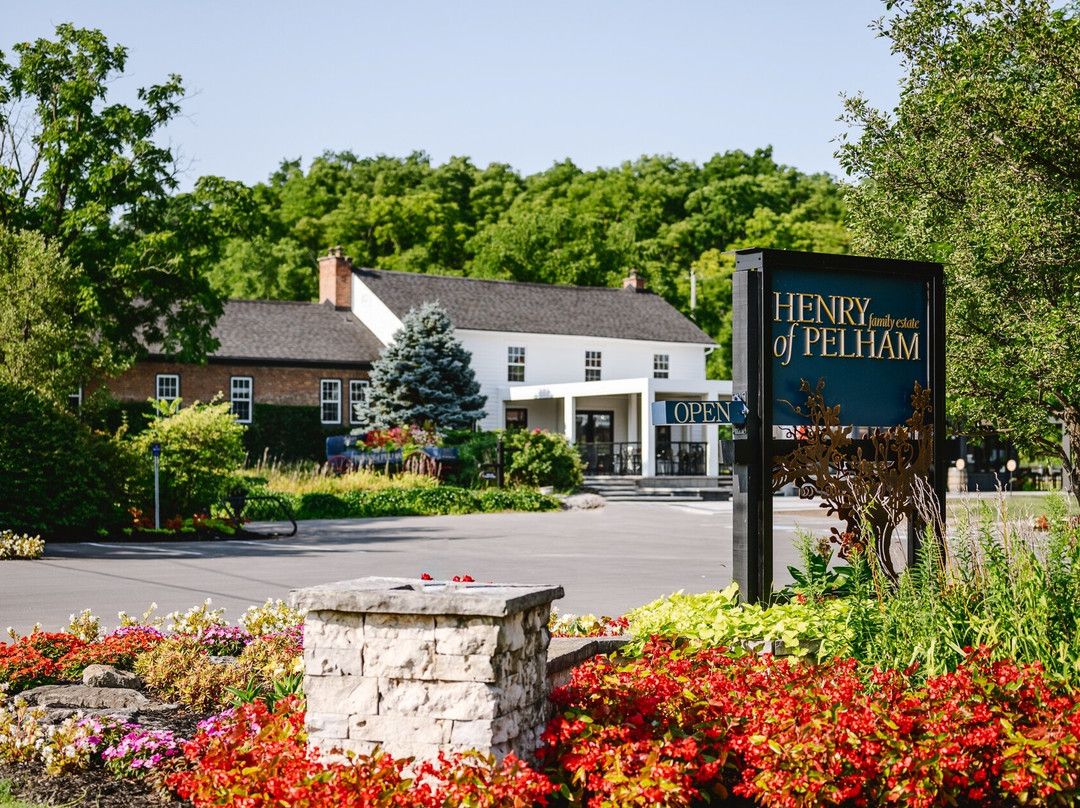 Henry of Pelham Family Estate Winery-圣凯瑟琳斯必去景点