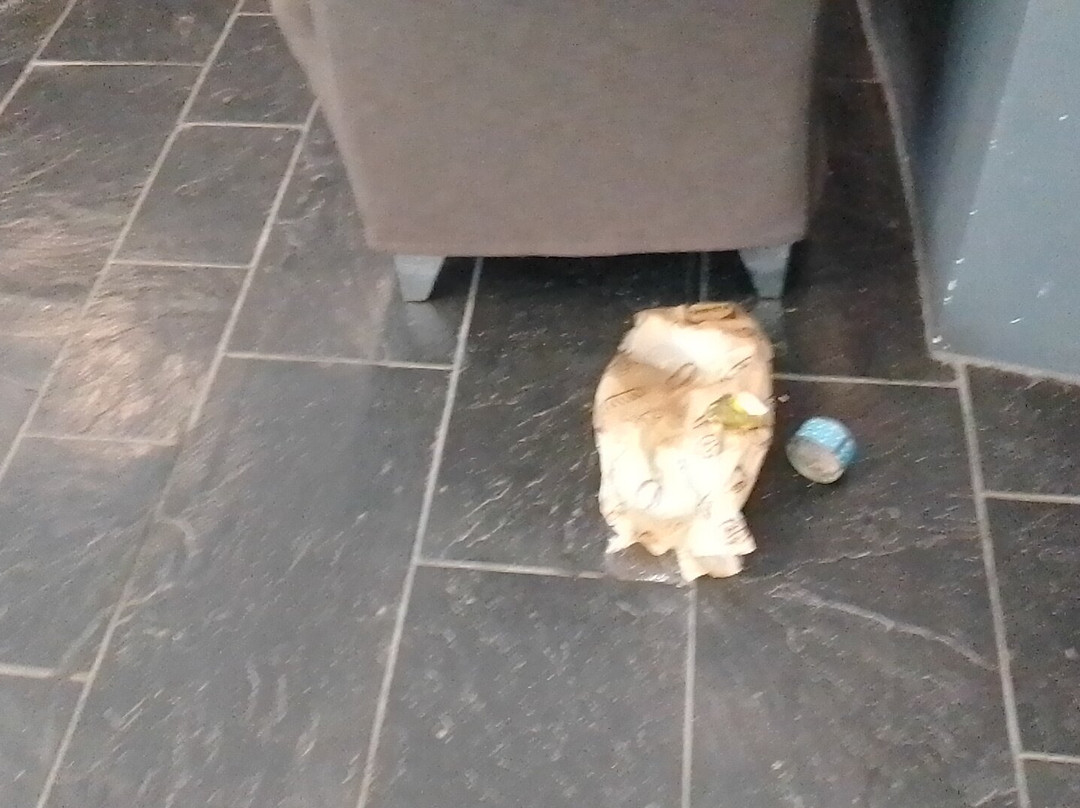 Rvhotels Spa Vila De Caldes主图