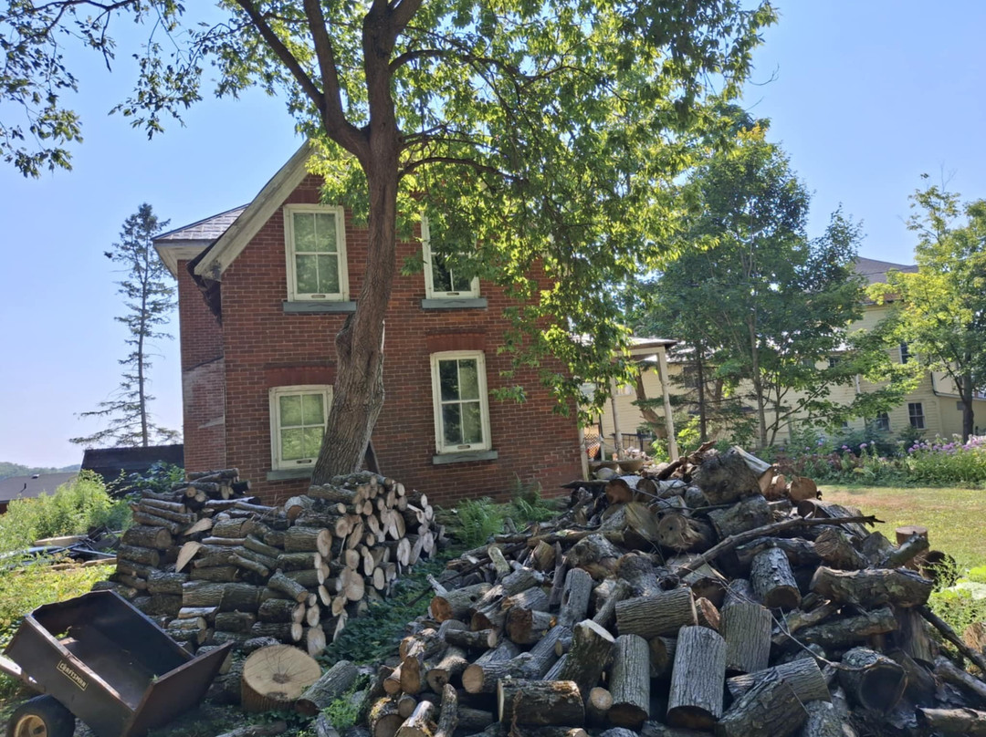 Hotel Kenney Rideau主图