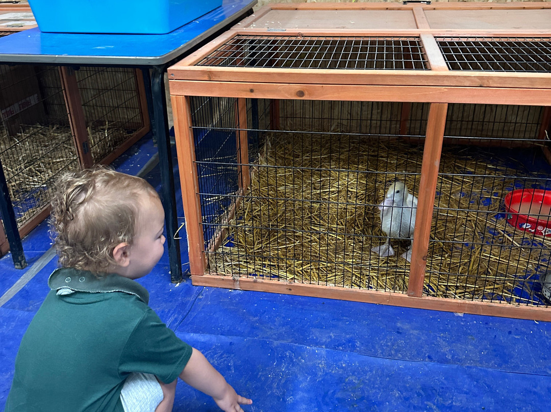 Melbourne Animal Farm-Melbourne必去景点