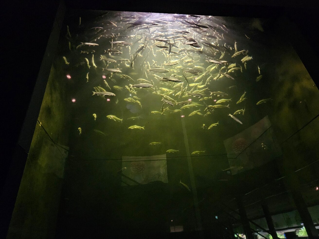 莫里茨体验中心-瓦伦必去景点