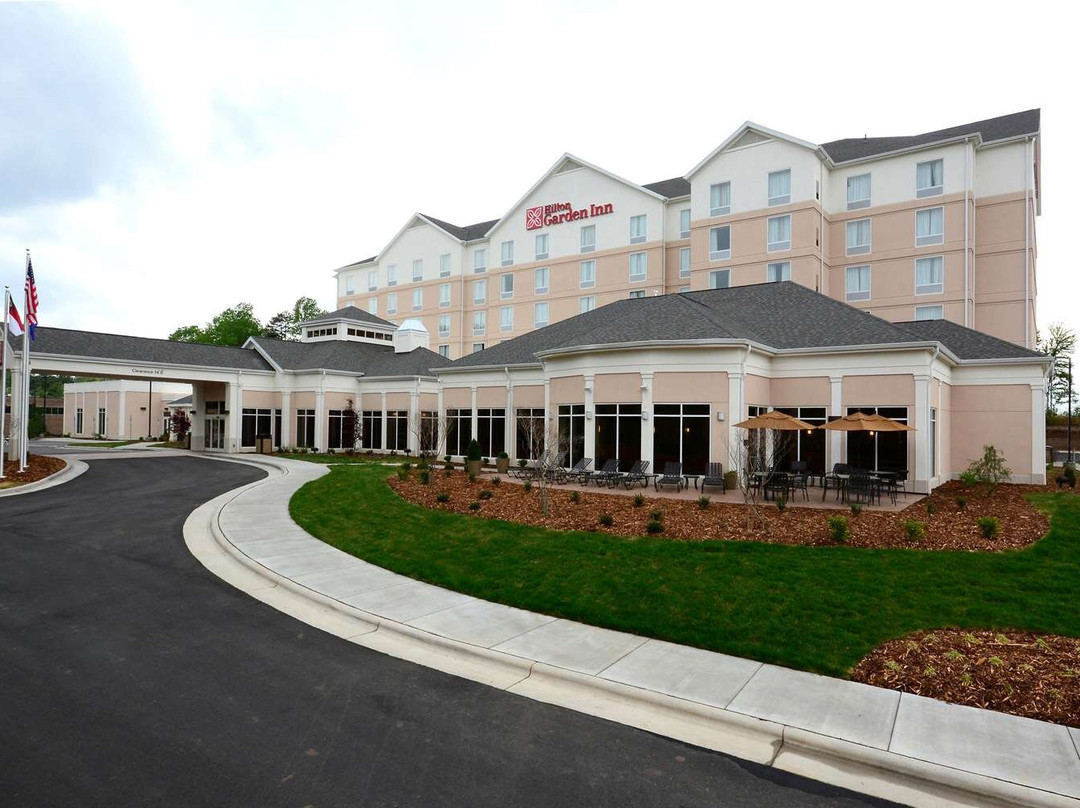 戈尔兹伯勒酒店住宿-Hilton Garden Inn Greensboro Airport