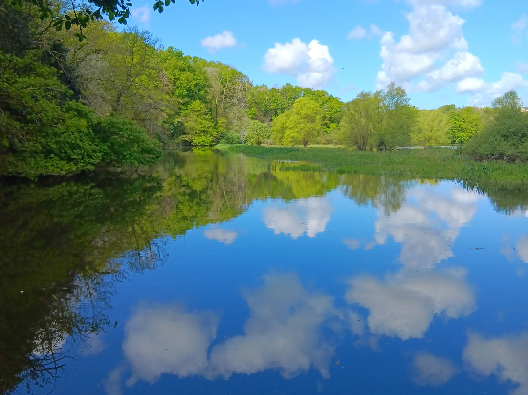 La Passerelle Observatoire Du Lac Du Jaunay-La Chapelle-Hermier必去景点
