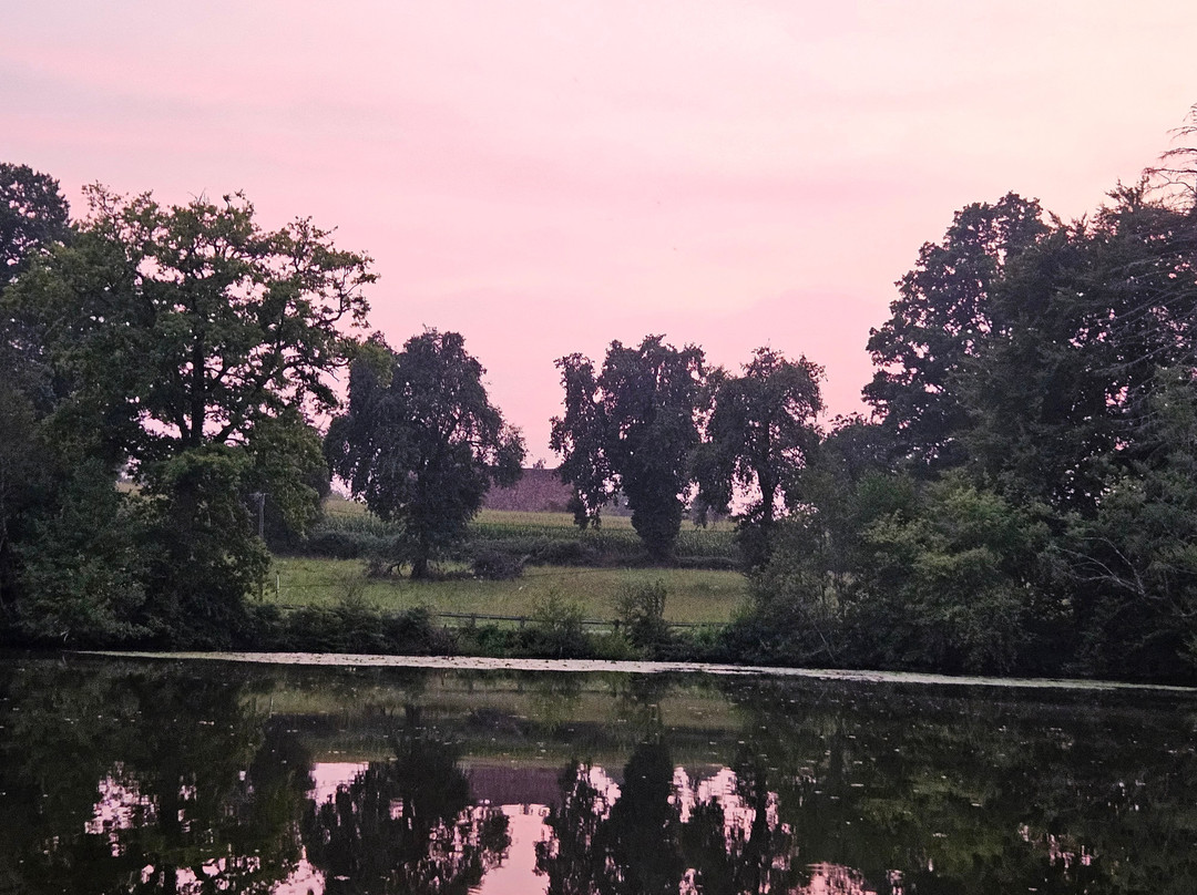 New Mill Carp Fisheries-Dompierre必去景点