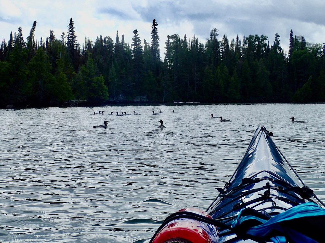 Keweenaw Adventure Company-Copper Harbor必去景点