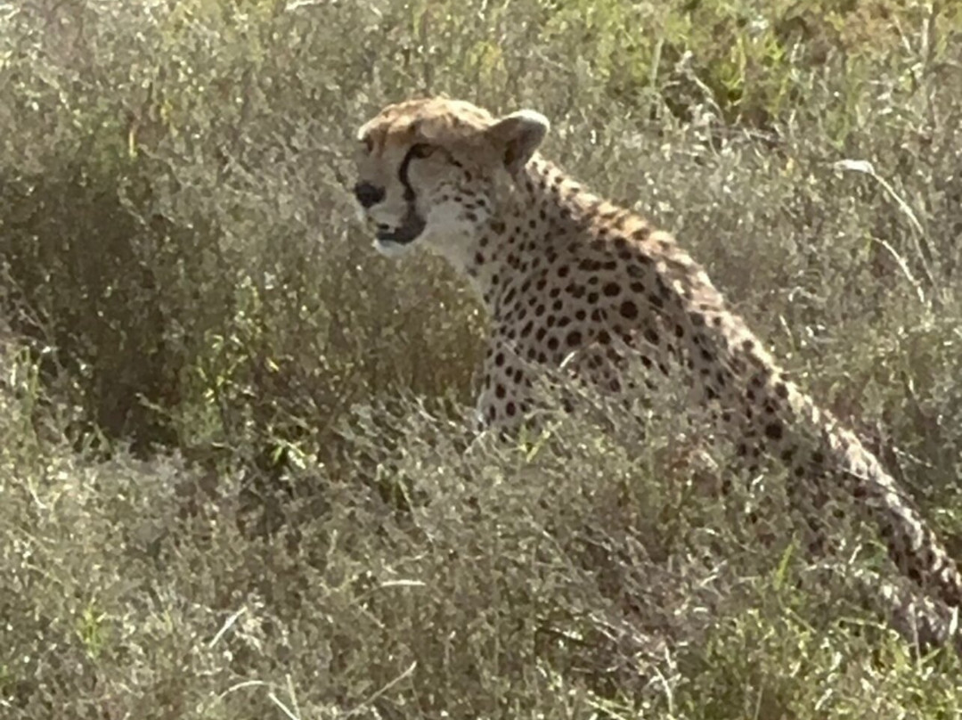 Nafika Tours-莫西必去景点