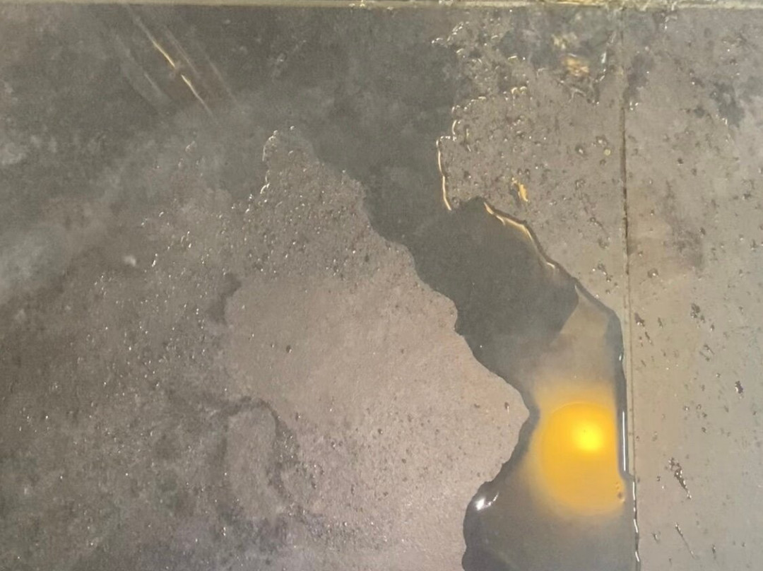 Hotel Prins Hendrik Texel主图