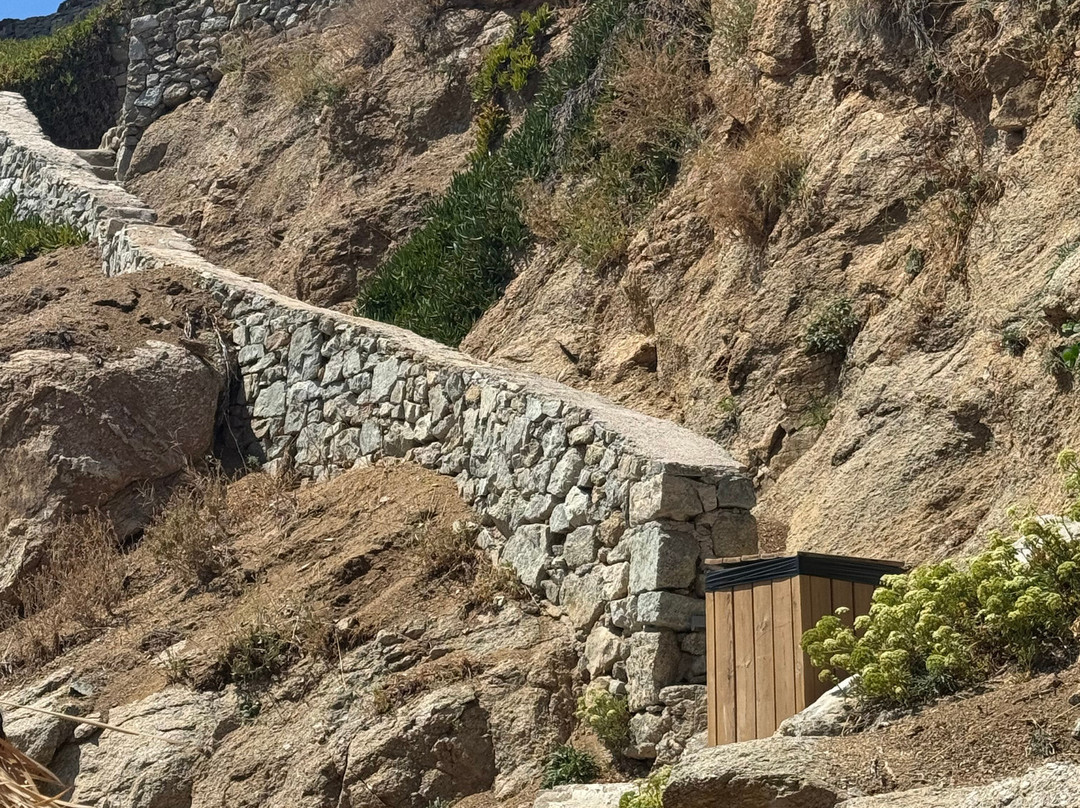 The Wild by Interni主图