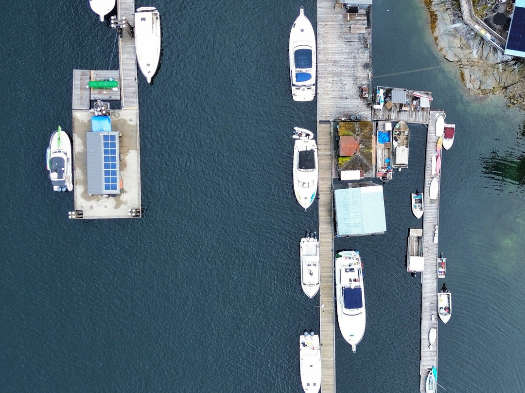 Powell River Sea Kayak-鲍威尔里弗必去景点