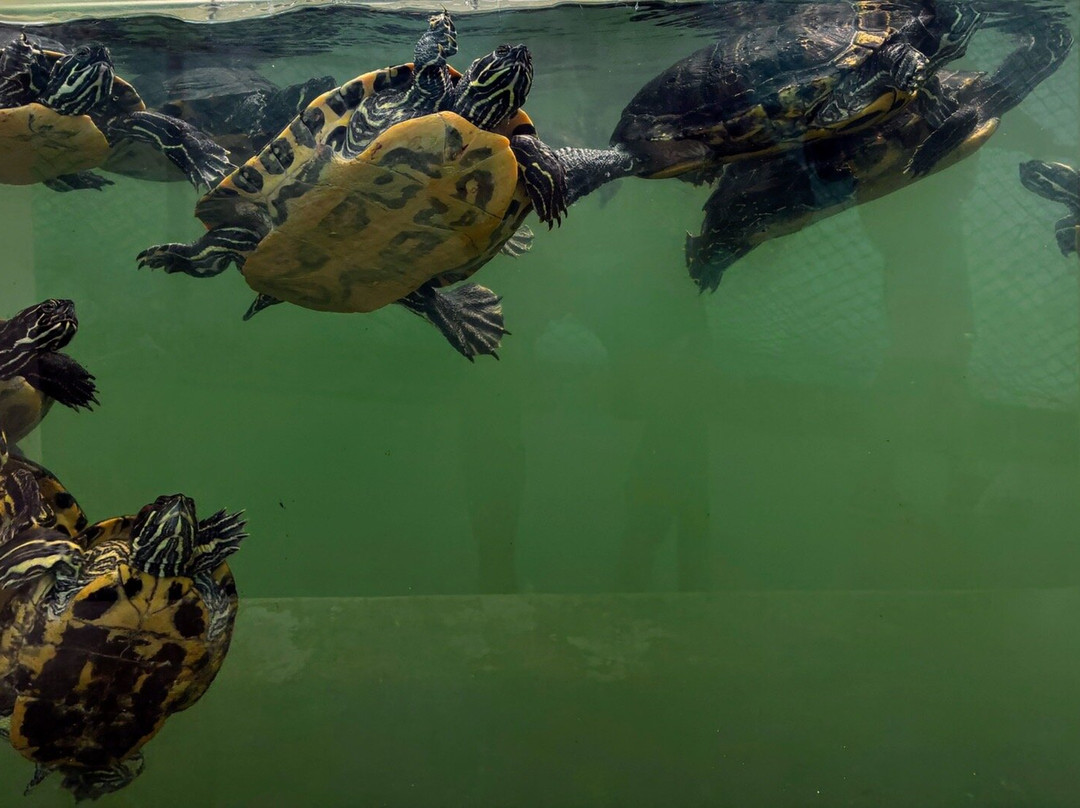 Acuario Do Grove-格罗韦必去景点