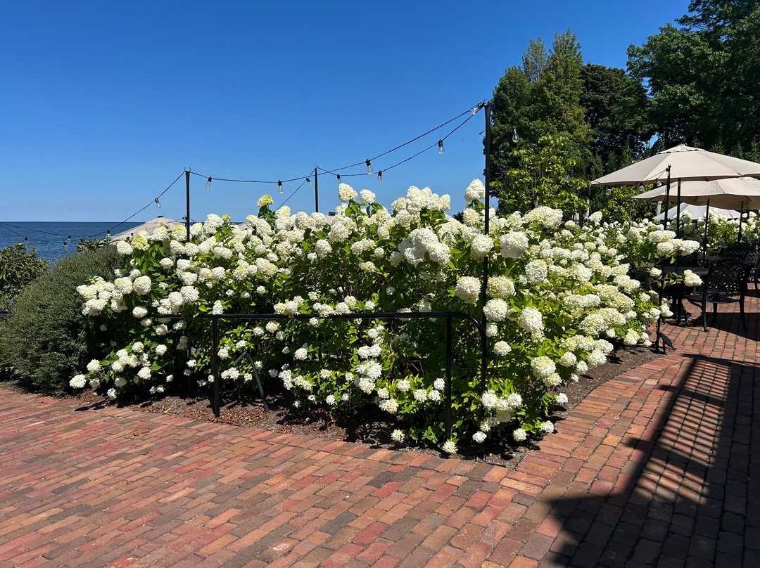 Vincent William Wine-Madison必去景点