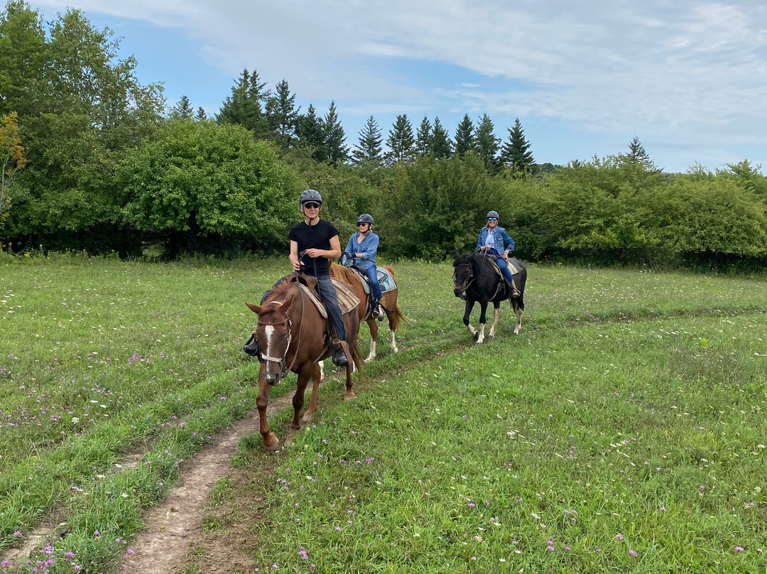 Kurtz Corral-斯特金贝必去景点