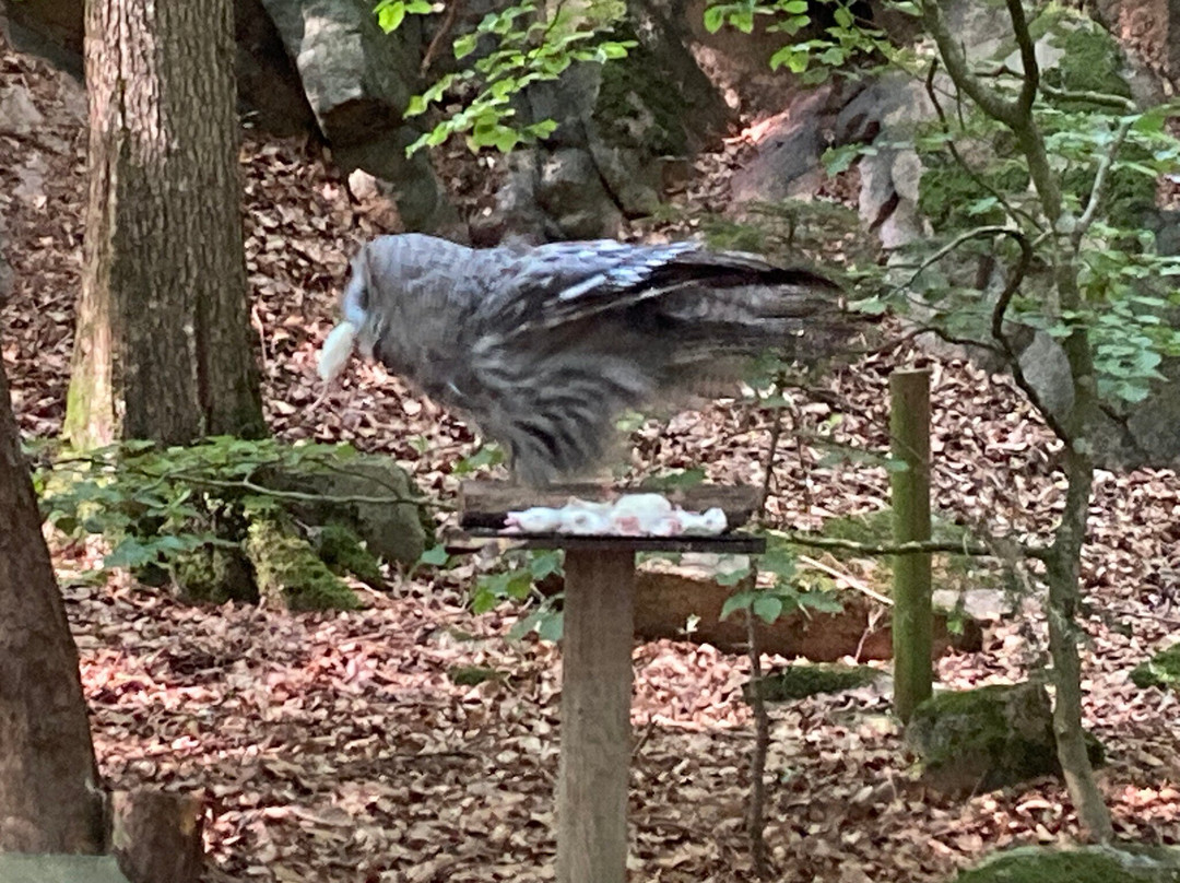 Nordens Ark-Hunnebostrand必去景点