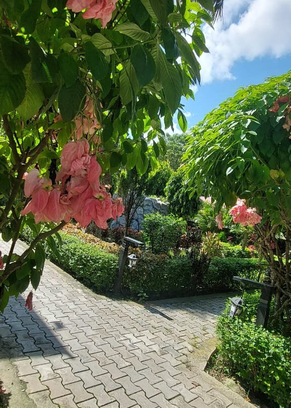 皇家老虎豪华度假村主图