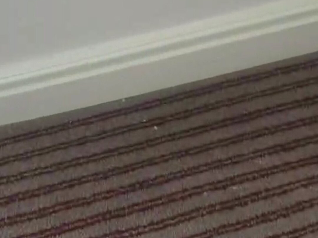 Macdonald Botley Park Hotel & Spa主图