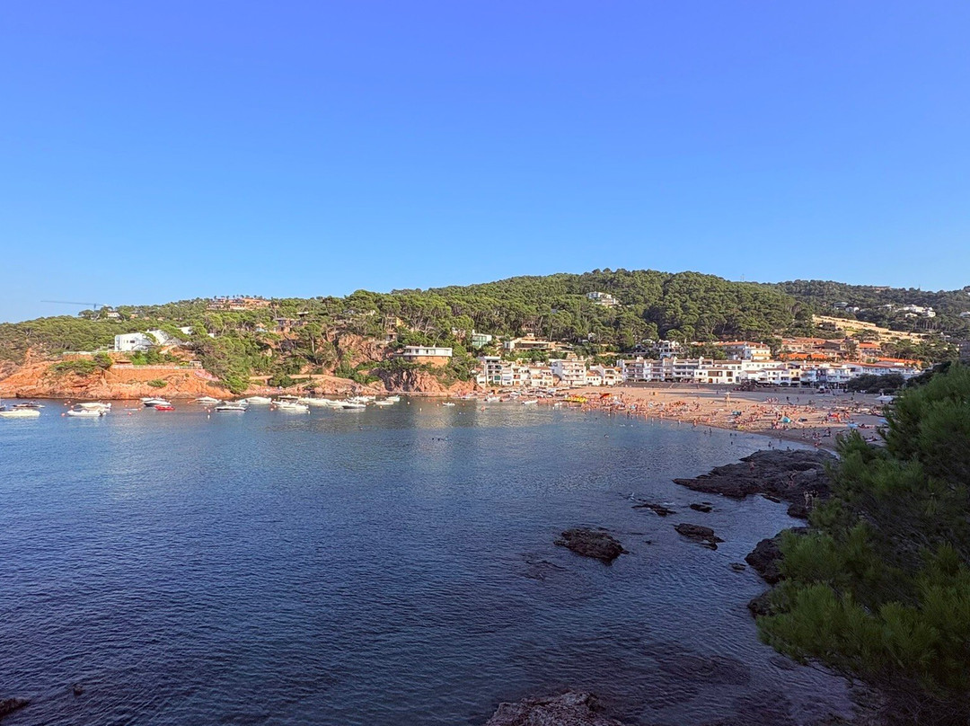 Hostal Ses Negres主图