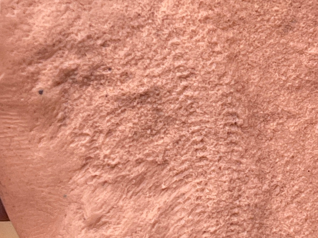 Nilpena Ediacara National Park-null必去景点