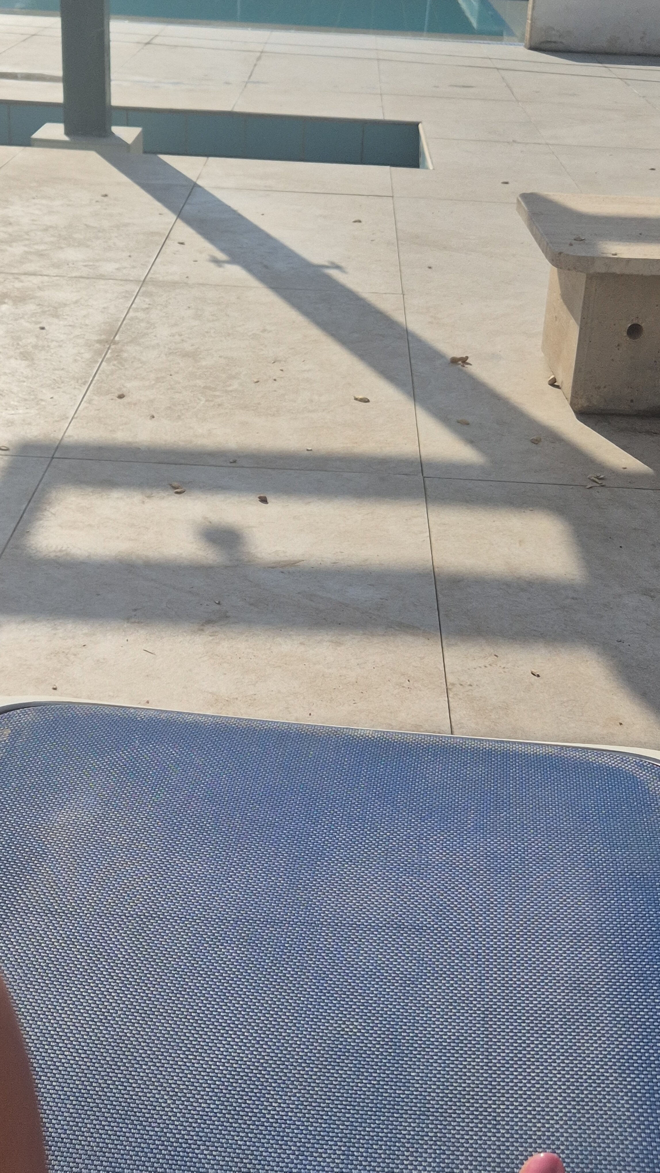 Athena Resort-泳池