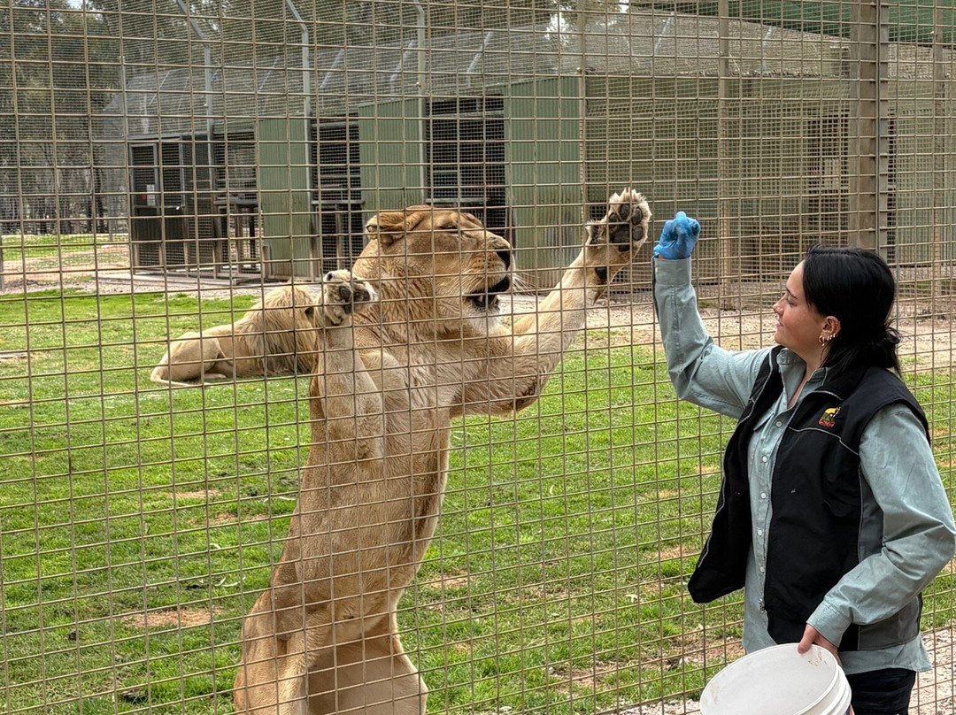 Altina Wildlife Park-Darlington Point必去景点