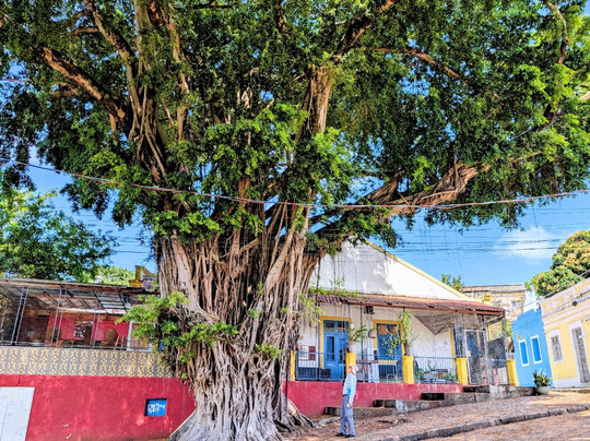 Centro Historico de Olinda-Olinda必去景点